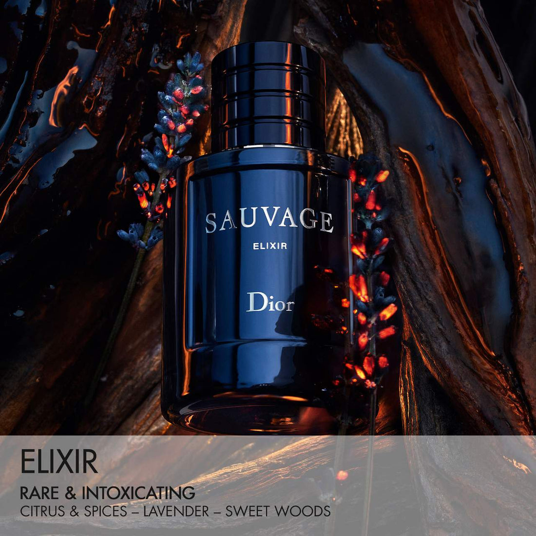 Dior Sauvage Elixir original product image – JOMASHOP